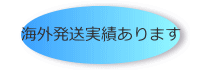 海外発送実績あります